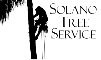Solano Tree Service