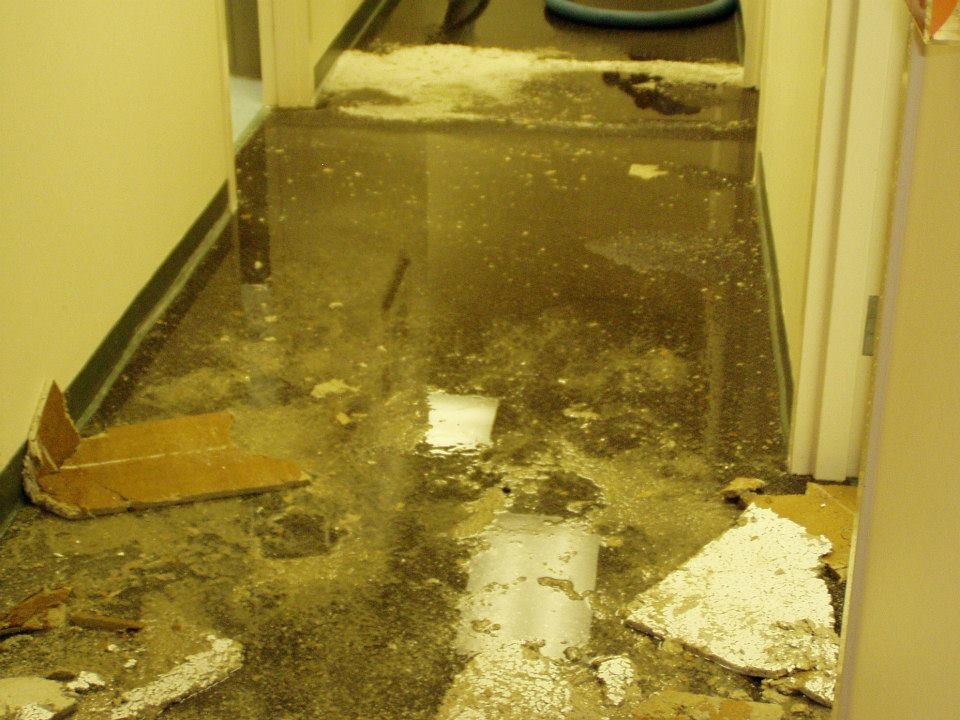 LM Companies LLC Photo