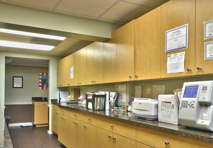 pediatric neurologist tampa fl