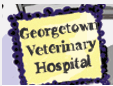 Georgetown Veterinary Hospital