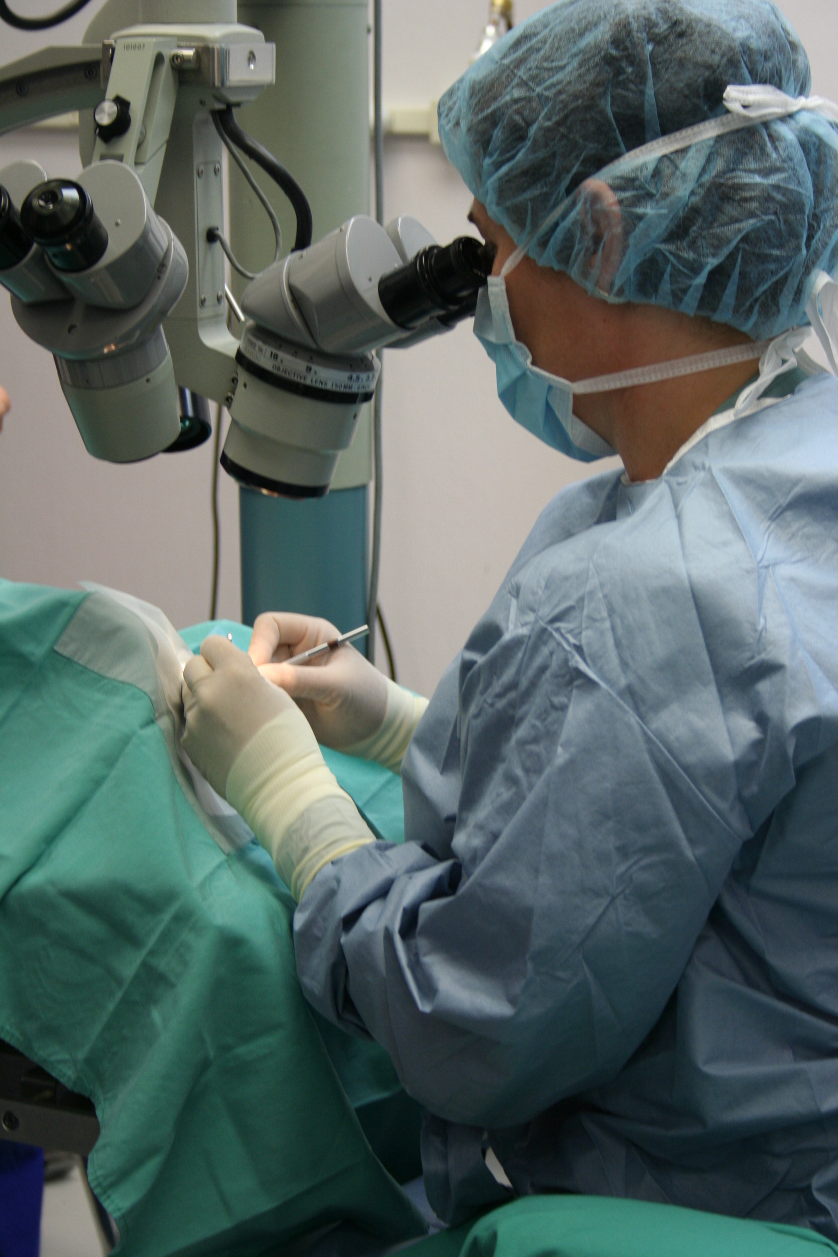 Bulger Veterinary Hospital Photo