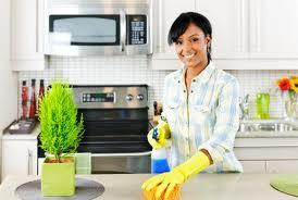 Professional Home Cleaning Inc Photo