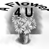 A Flower 4 U - Owasso, OK
