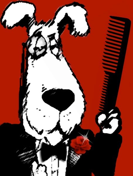 Alexandria's Grooming - Fort Lauderdale, FL