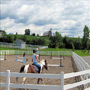 Images Canterbury Stables