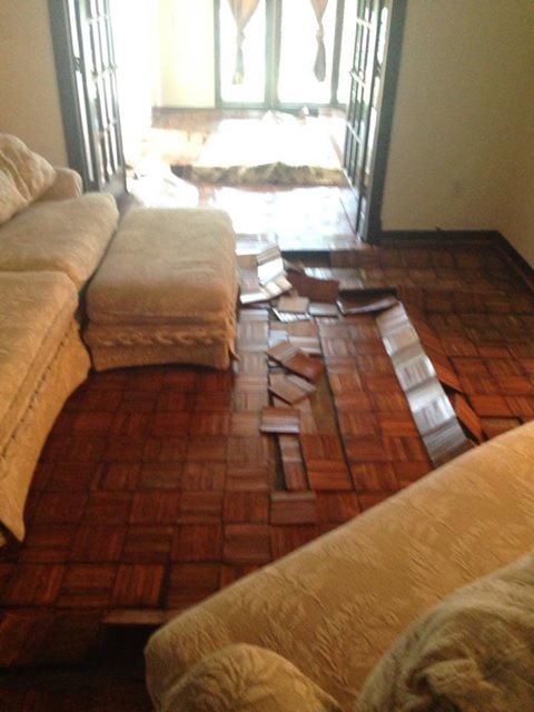 Flood Pros of Florida Photo