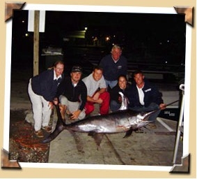 Sea Cross Deep Sea Fishing Miami Photo