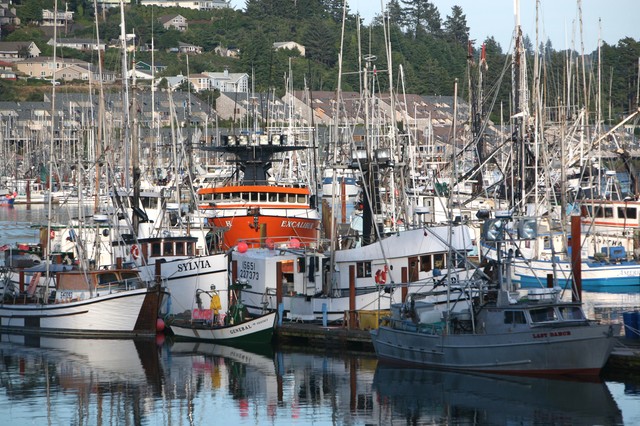 Sail Inn/ Sail Inn Cafe - Newport, OR