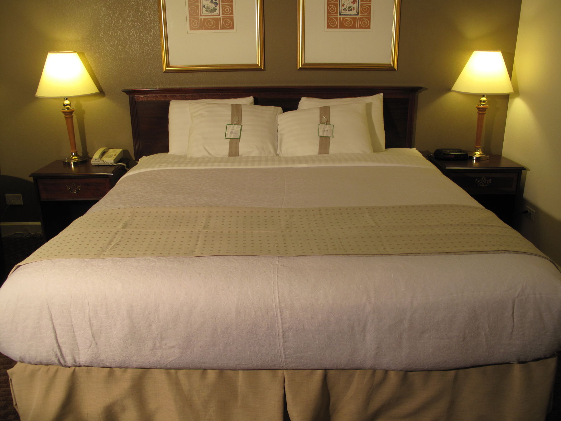 Holiday Inn Schaumburg Ohare Chicago IL - Rolling Meadows, IL