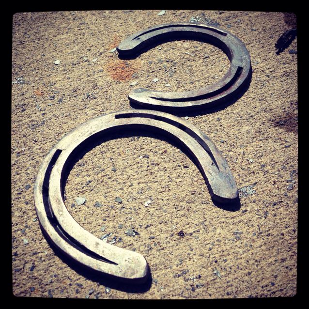 Gold Buckle Farrier Service - classified ad