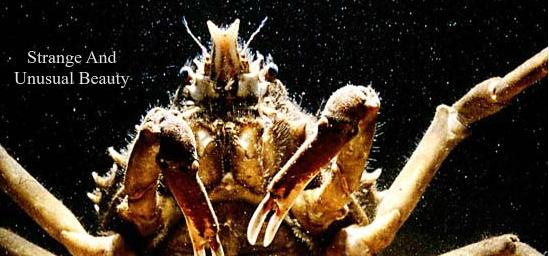 Gulf Specimen Marine Laboratories - Panacea, FL