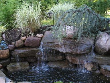 Greg Tanzer Sprinklers Photo