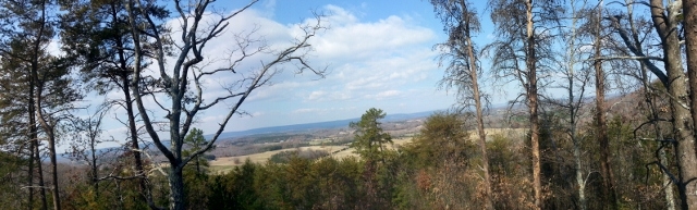 Lake Homes Realty Image