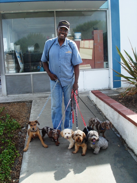 All States K-9 Detection & Dog Training - Fullerton, CA