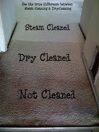 Cleaning New York Carpet & Rugs