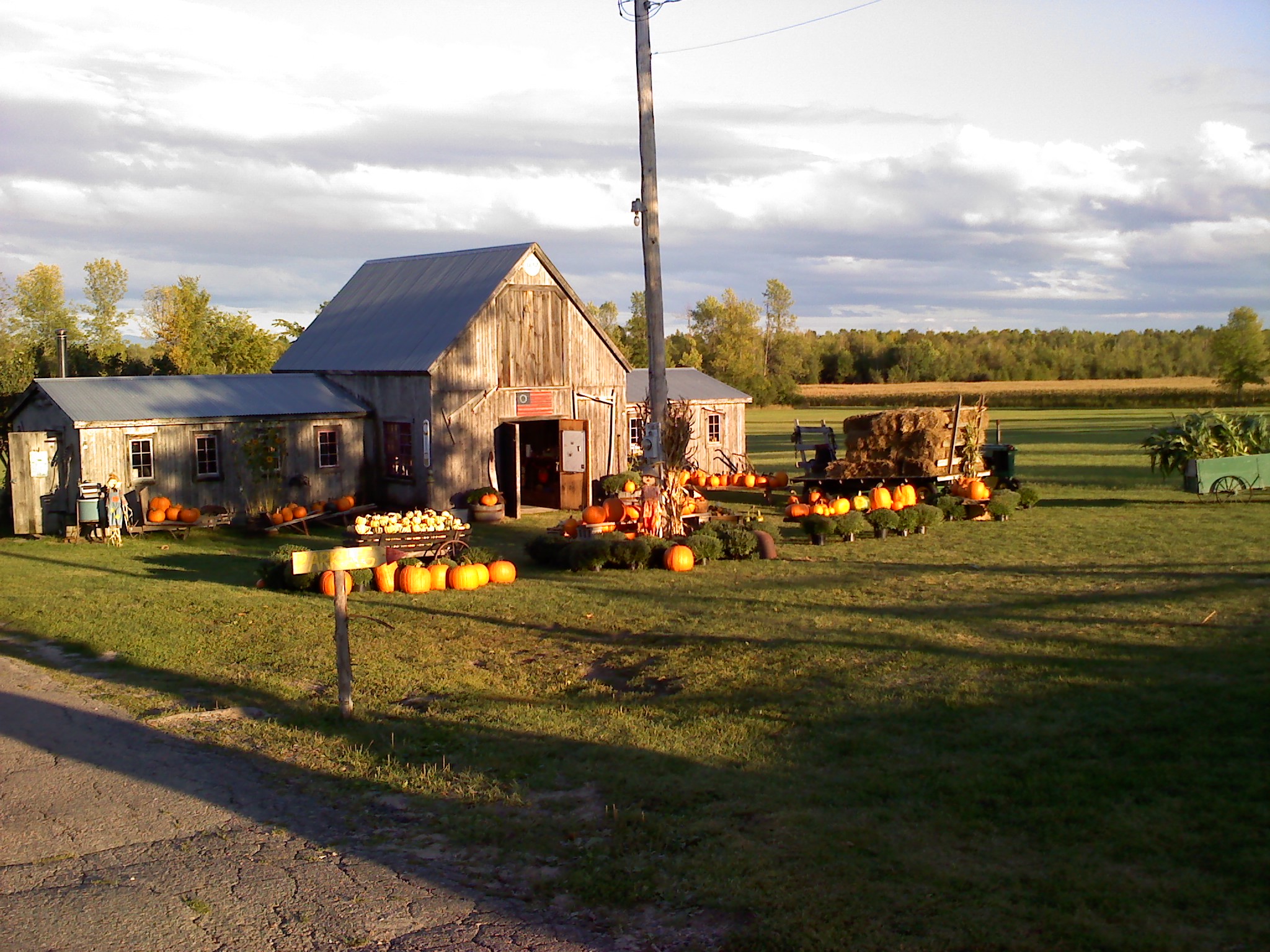 Country Dreams Farm, 260 Pellerin Rd, Plattsburgh, NY MapQuest