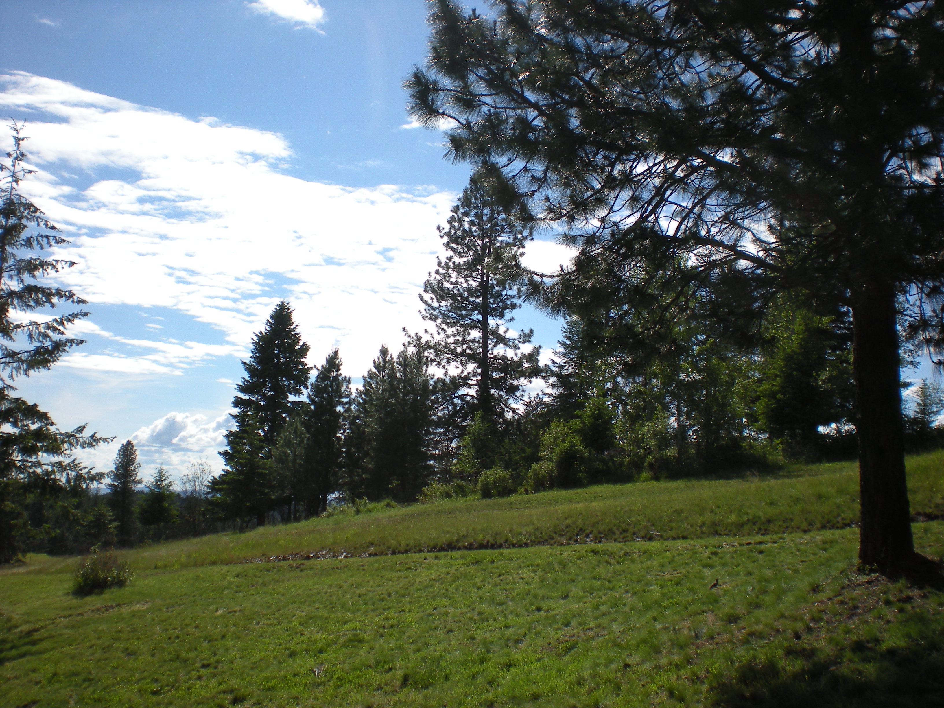 Mountain Air Resort - Hayden, ID