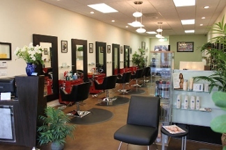 Hair By Sandra-Innovation A Salon - Culver City, CA