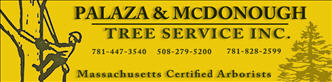 Palaza & McDonough Tree Service Inc