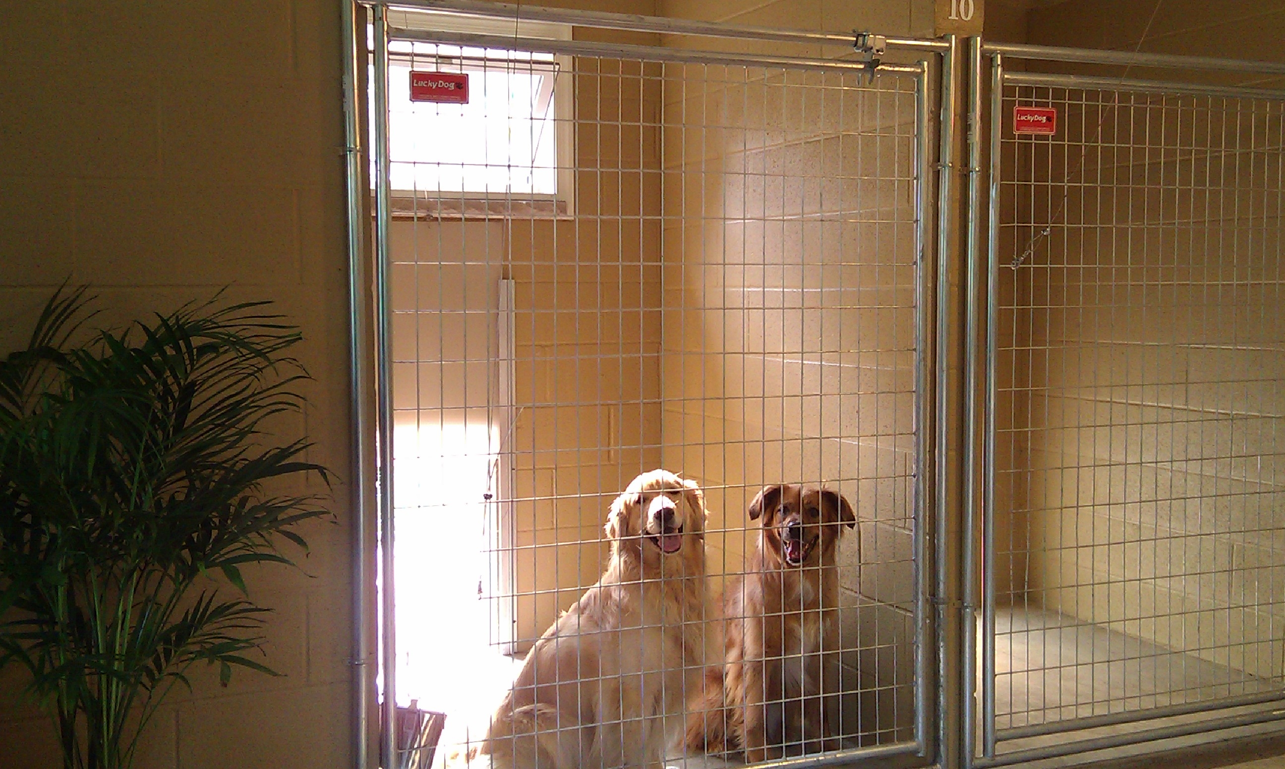 Doolin Acres Kennel, 4916 S Nelson Rd, Orfordville, WI 53576, US MapQuest