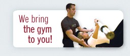 Perfect Personal Training - In Home Personal Trainer - Troy, MI
