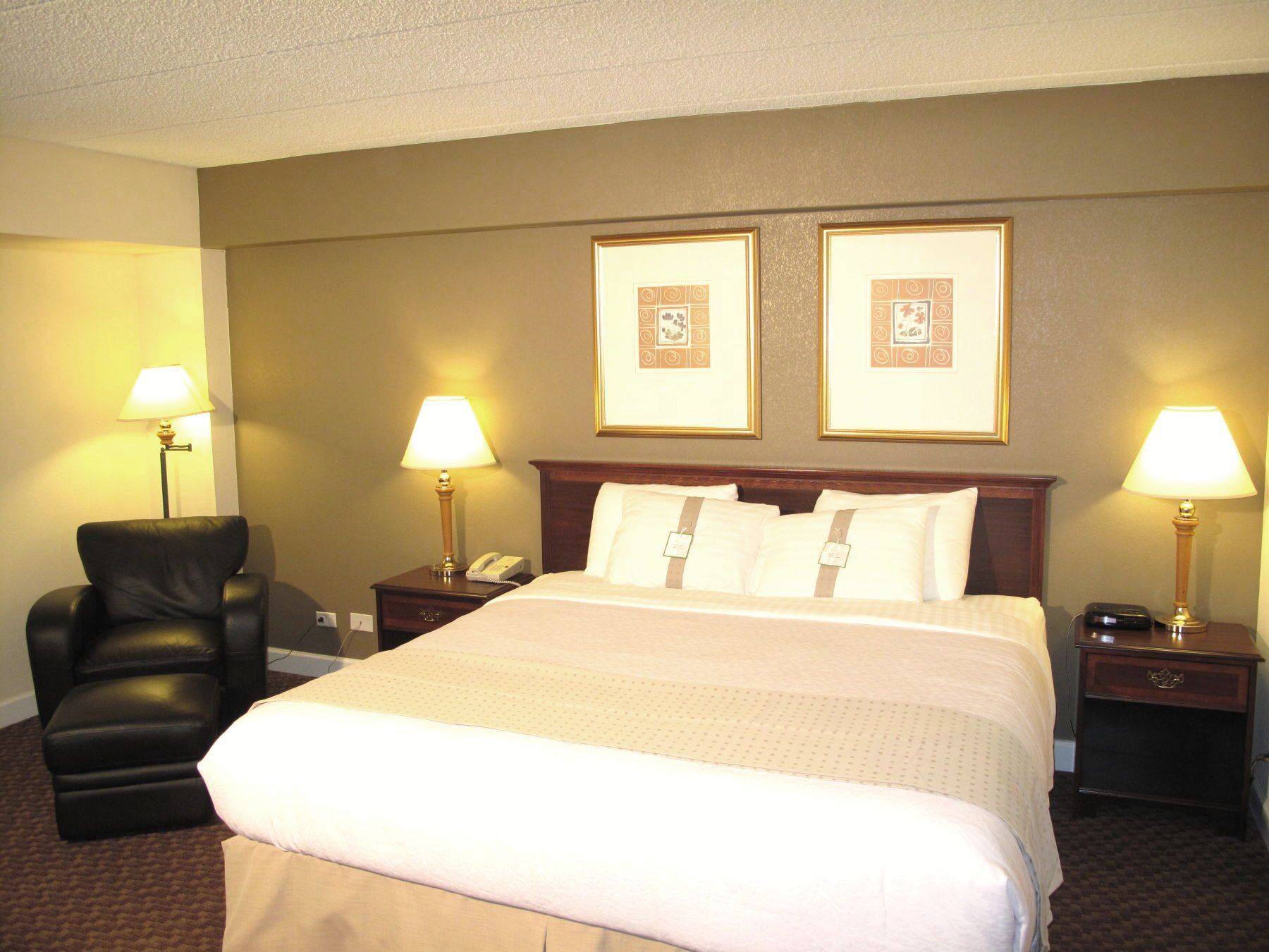 Holiday Inn Schaumburg Ohare Chicago IL - Rolling Meadows, IL