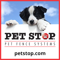 Dog Training Schools In Cincinnati Oh Dog Training Schools In Cincinnati Oh