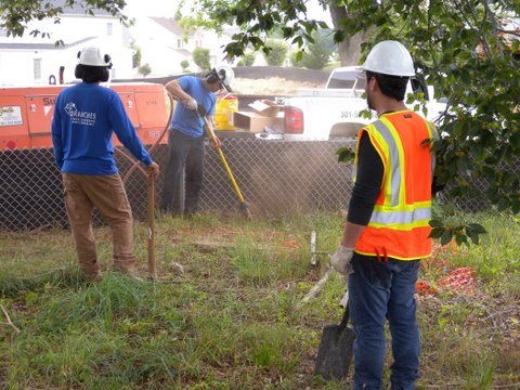 Branch Tree Experts Photo
