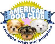 ny puppy club american club in massapequa ny 516 877 0 ny puppy club american club in massapequa ny 516 877 0
