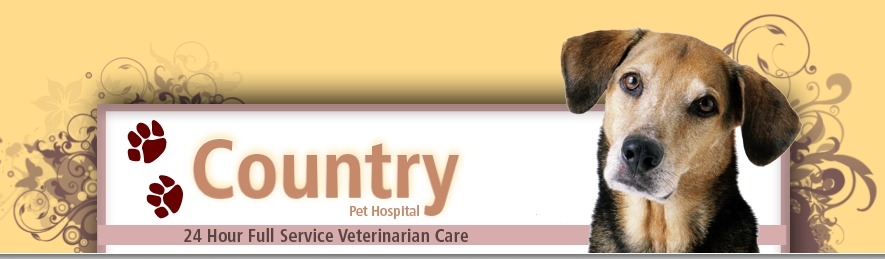 Vets in CA Alpine 91901 Country Pet Hospital 2525 Alpine Boulevard (619)320-1018