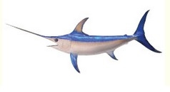 George's Seafood Company