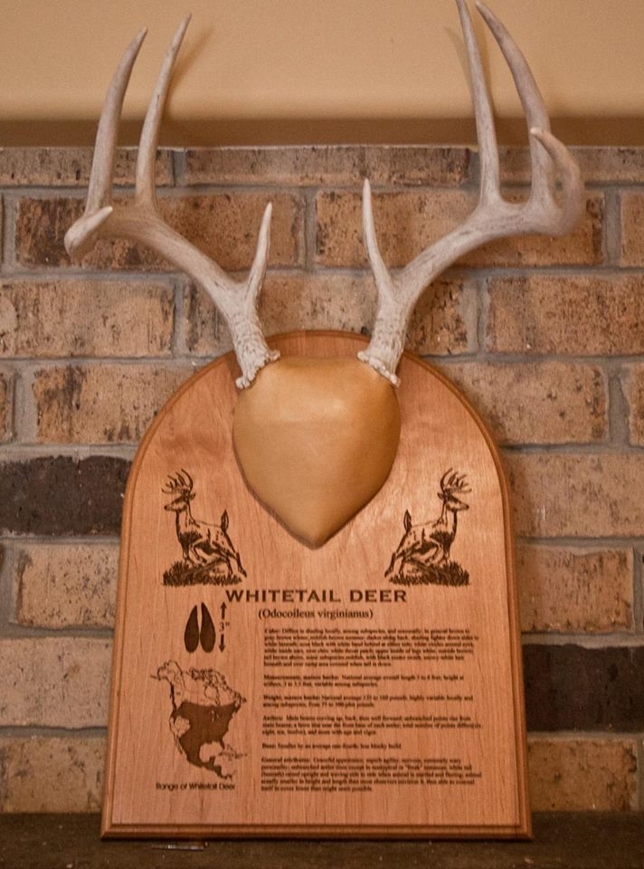 Creative Laser Solutions Photo