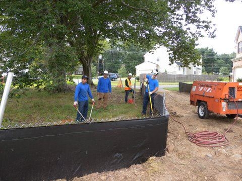 Branch Tree Experts Photo