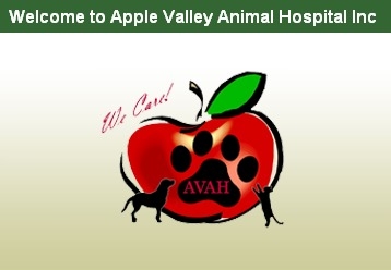 Vets in CA Apple Valley 92307 Apple Valley Animal Hospital 18107 Highway 18 (760)813-7076