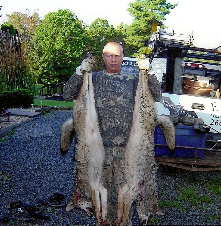 Ellis Wildlife Pest Control Photo