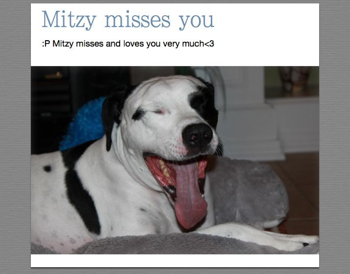 Alone at Home Pet Services, Inc Photo