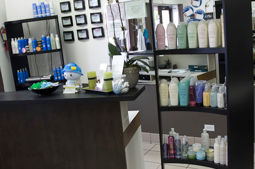 Haskana Institute of Cosmetology - Palatine, IL