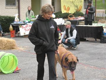 PAWZ FOR HEALTH In Home Dog Training - Severn, MD