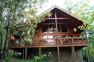 Auntie Belham's Cabin Rentals Photo