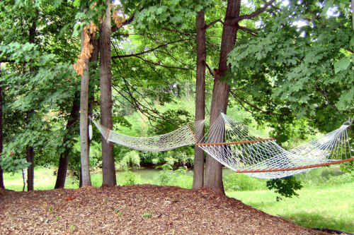 Dove Nest Bed and Breakfast - Saint Joseph, MI