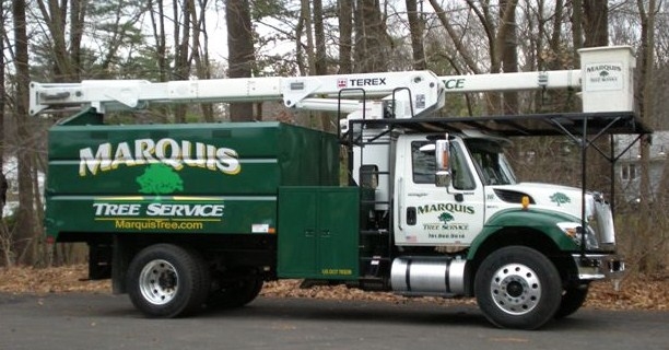 Marquis Tree Service - Burlington, MA