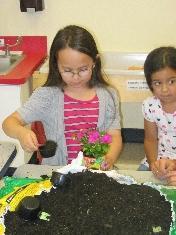 Kiddie Academy of Brick Photo