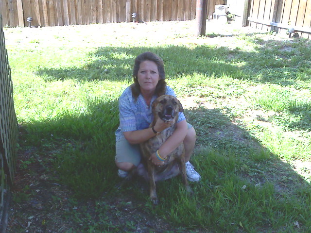 Alone at Home Pet Services, Inc Photo