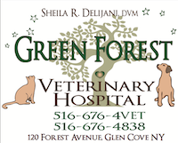 Green Forest Veterinary Hospital