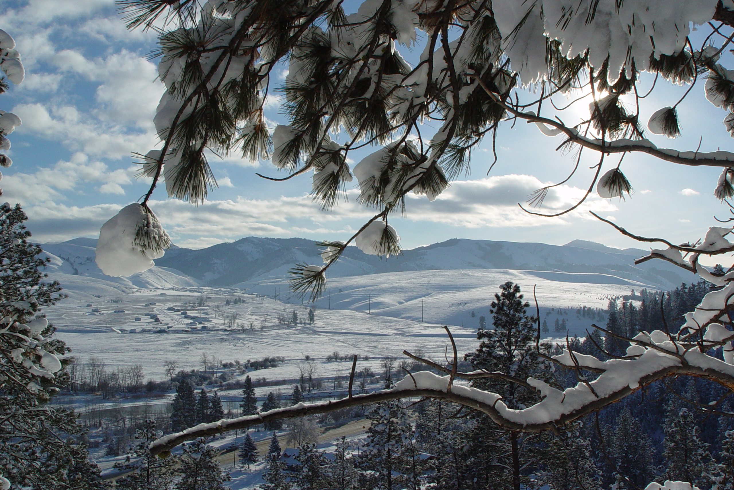 Blue Mountain Bed and Breakfast Photo