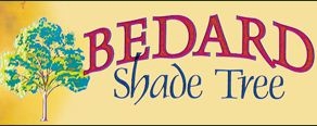 Bedard Shade Tree