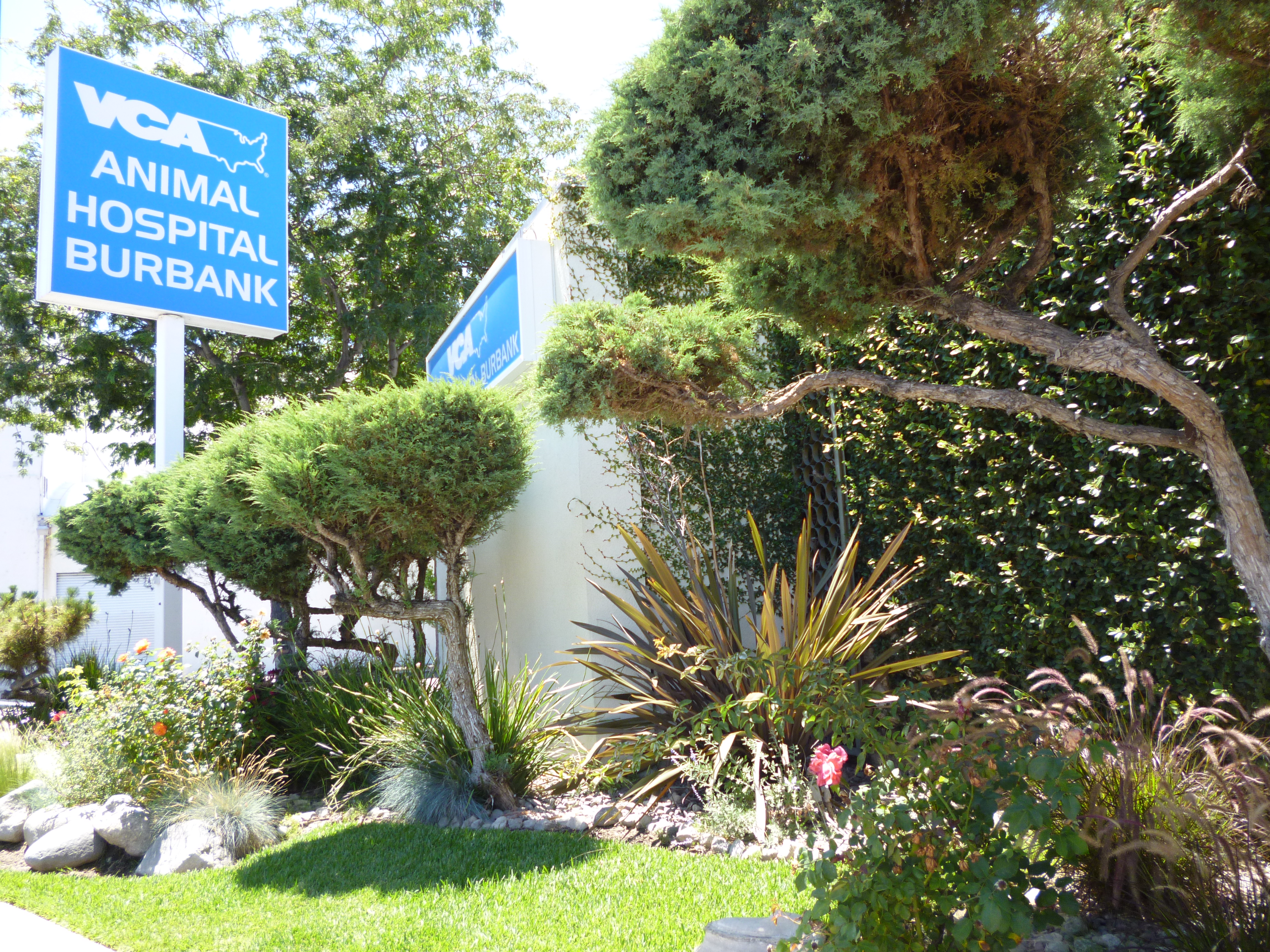 Vets in CA Burbank 91505 VCA Animal Hospital (Burbank) 2723 West Olive (818)471-4665