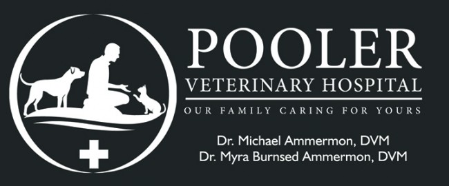 Pooler Veterinary Hospital