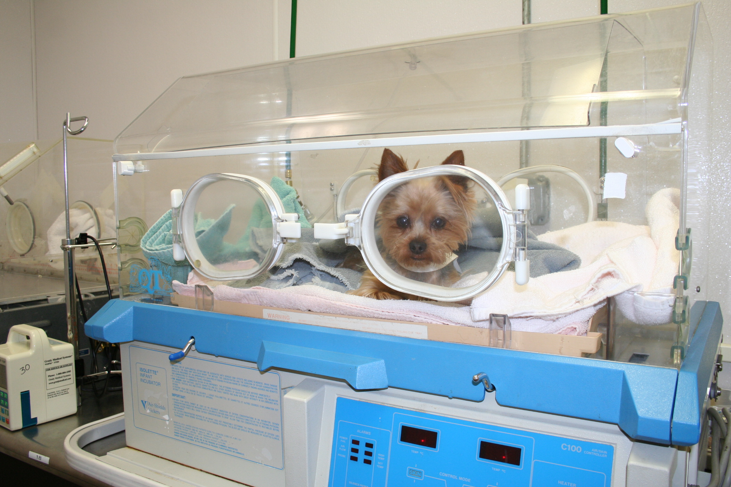 Bulger Veterinary Hospital Photo