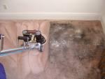 Power Clean Carpet Cleaning Photo